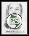 UNIDOS PARA EL DESARROLLO INTERNACIONAL VISUAL DE AMÉRICA A.C.